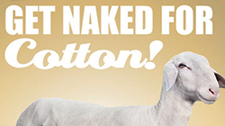 Get naked for Cotton